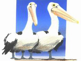 Bay Of Shoals Wines - Perth Resorts 0