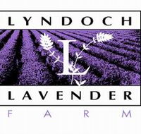 Lyndoch Lavender Farm and Cafe - Accommodation Perth