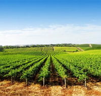 Aldinga Bay Winery - Accommodation Perth