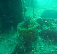 Wallaroo Scuba Club - Accommodation Perth