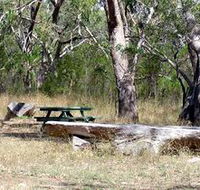 Penola Conservation Park - Accommodation Perth