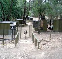 Humbug Scrub Wildlife Sanctuary - Perth Resorts