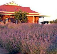 Bella Lavender Estate - Accommodation Perth