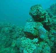 Adelaide's Underwater Heritage Trail - Accommodation Perth
