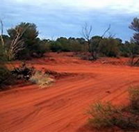 Tallaringa Conservation Park - Accommodation Perth