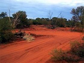 Tallaringa Conservation Park - Accommodation Perth 0