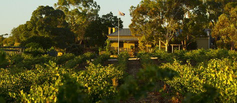 Greenock Creek Wines - Accommodation Perth 2