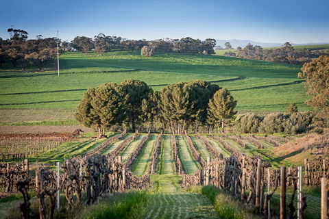 Heritage Wines - Accommodation Perth 1