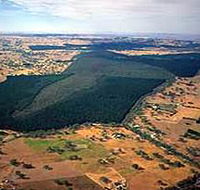 Mount Crawford Forest Reserve - Accommodation Perth