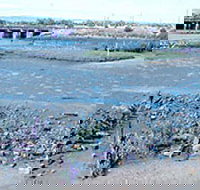 Jervois Basin Ships' Graveyard - Perth Resorts