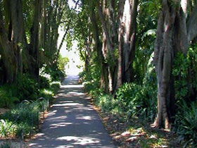 Adelaide Botanic Garden - Accommodation Perth 0
