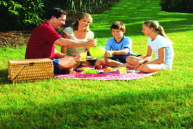 Bruny Island Berry Farm - Perth Resorts 0