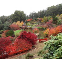 Emu Valley Rhododendron Garden - Accommodation Perth