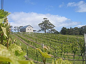 Bruny Island Premium Wines Bar And Grill - Accommodation Perth 0
