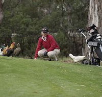 Tasmania Golf Club - The - Accommodation Perth