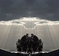 aart. Gallery of Fine Art - Perth Resorts