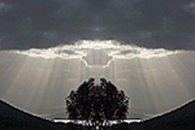 Aart. Gallery Of Fine Art - Perth Resorts 0