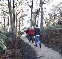 Bridport Walking Track - Accommodation Perth