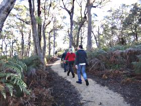 Bridport Walking Track - Perth Resorts 0