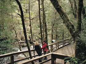 Franklin River Nature Trail - Accommodation Perth 0
