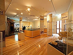 Tasmanian Tiger Exhibition - Accommodation Perth 0