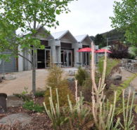 Tin Dragon Interpretation Centre and Cafe - Accommodation Perth