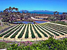 Kate's Berry Farm - Accommodation Perth 0