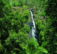 Kondalilla National Park - Accommodation Perth