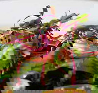 Courgette - Perth Resorts