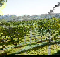 Surveyor's Hill Vineyards - Accommodation Perth