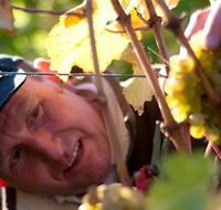 Puddleduck Vineyard - Accommodation Perth