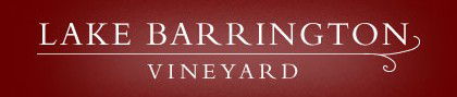 Lake Barrington Estate Vineyard - Perth Resorts 0