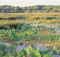 Fogg Dam Conservation Reserve - Accommodation Perth