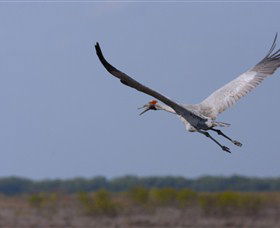Gayngaru Wetlands Interpretive Walk - Accommodation Perth 0