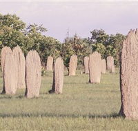 Magnetic Termite Mounds - Accommodation Perth