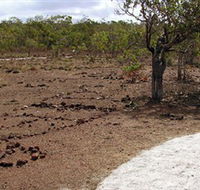 Wurrwurrwuy Garanhan Macassan Beach Interpretive Walk - Accommodation Perth