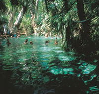 Mataranka Thermal Pool - Perth Resorts