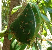 Greenant Creek Walk - Accommodation Perth