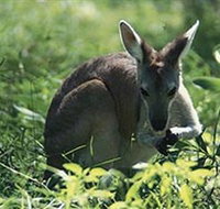 Tjaetaba Falls - Perth Resorts