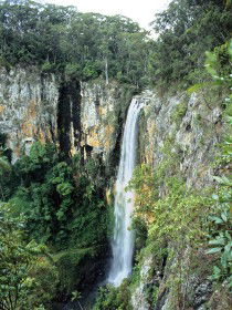 Gondwana Rainforests Of Australia - Accommodation Perth 0