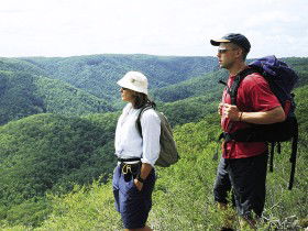 Sunshine Coast Hinterland Great! Walk - Accommodation Perth 0