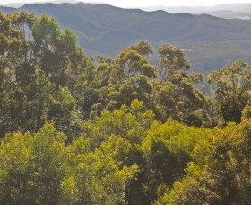 Conondale National Park - Accommodation Perth 0