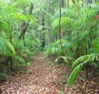 Delicia Road Conservation Park - Accommodation Perth