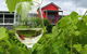 Flame Hill Vineyard - thumb 0