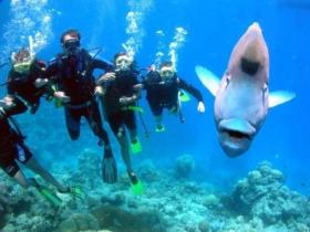 Magic Mountain Dive Site - Accommodation Perth 0