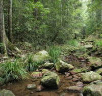 Amamoor State Forest - Accommodation Perth