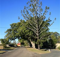 Anzac Avenue Memorial Trees Beerburrum - Accommodation Perth