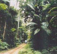 Conondale Great Walk - Accommodation Perth