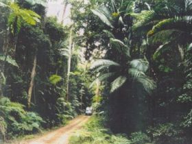 Conondale Great Walk - Accommodation Perth 0