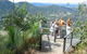 Mapleton Forest Reserve - thumb 0